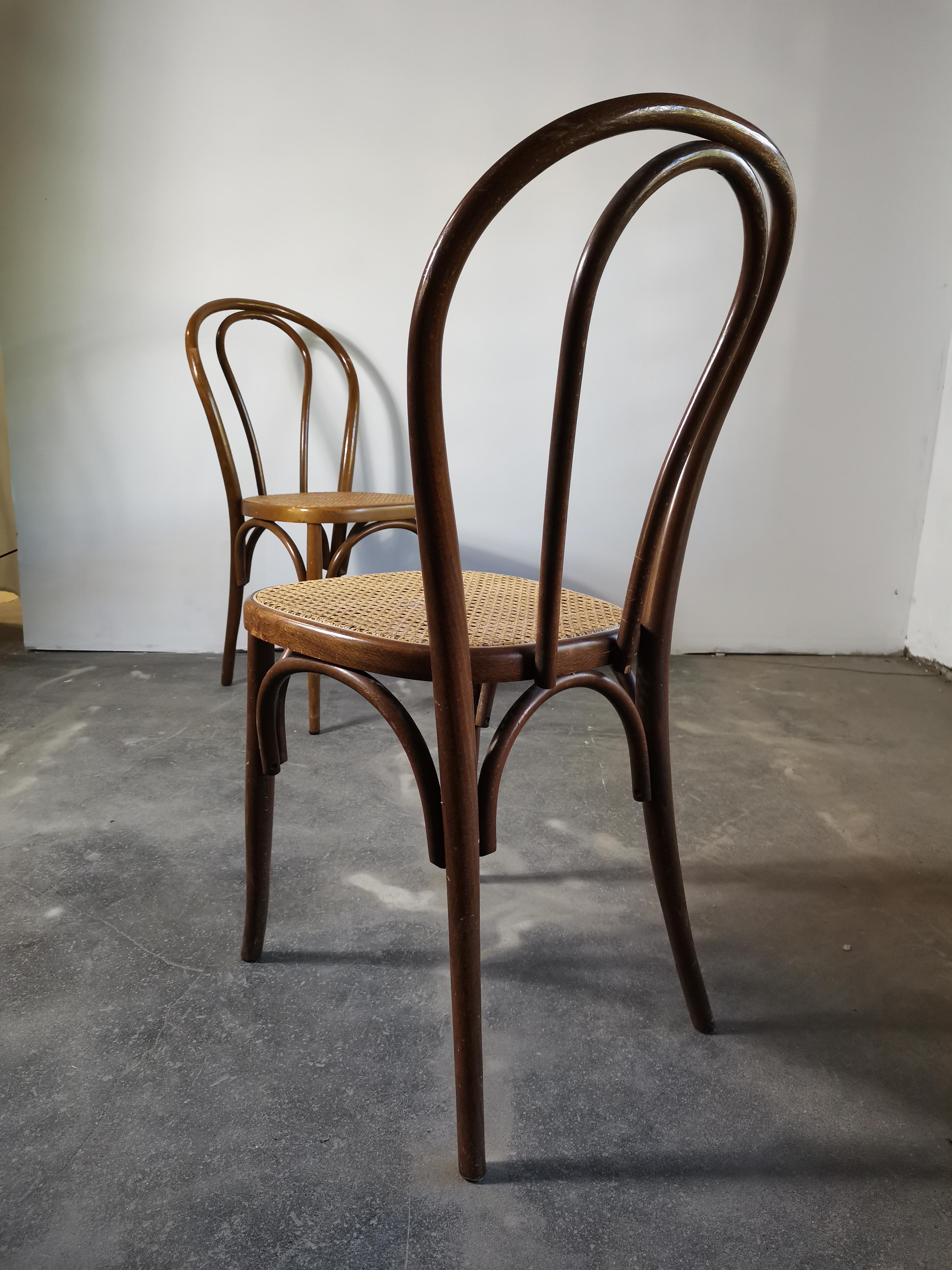 Bentwood No. 18, 1960s 1 of 2 For Sale 4