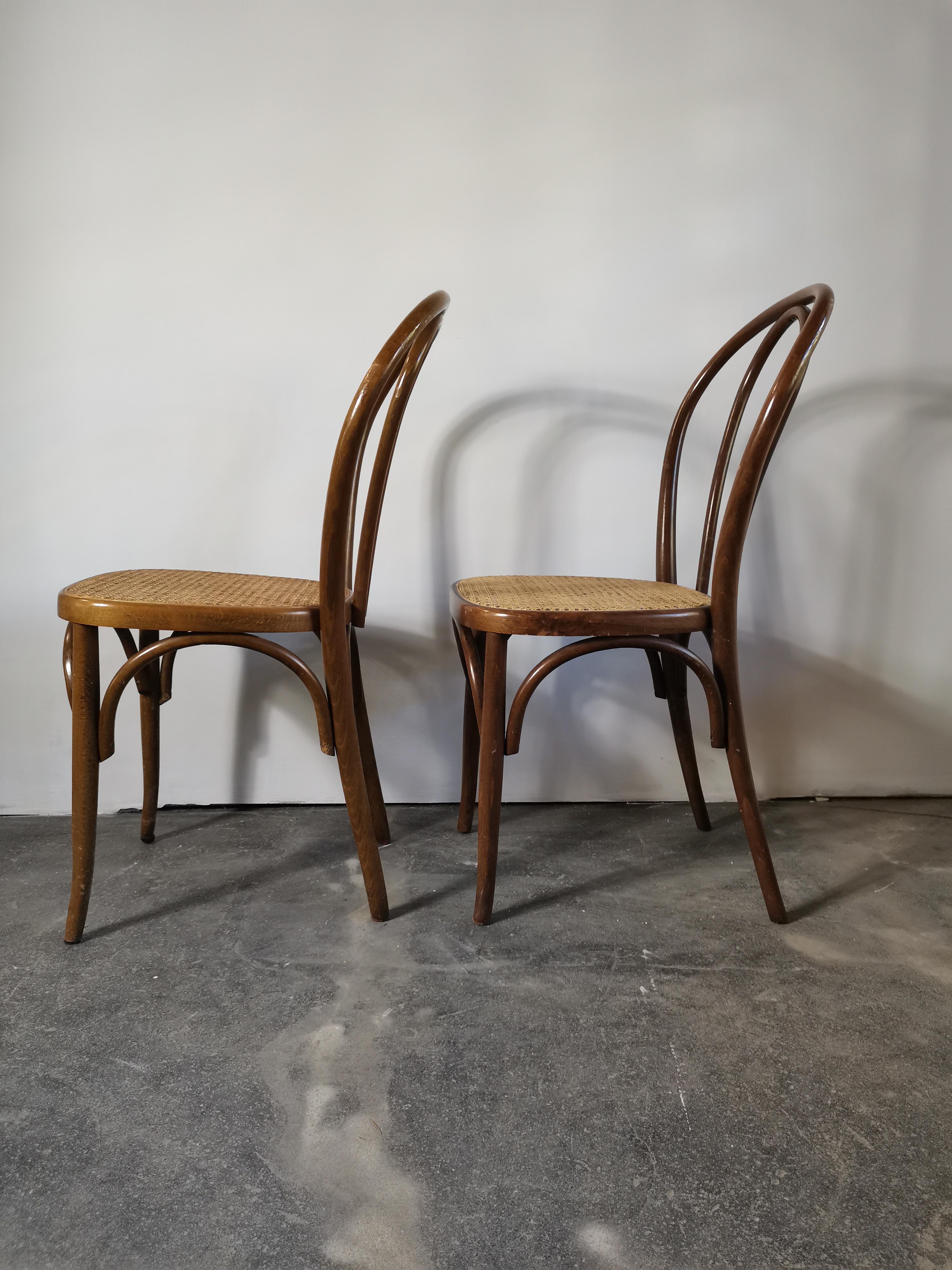 Mid-20th Century Bentwood No. 18, 1960s 1 of 2 For Sale