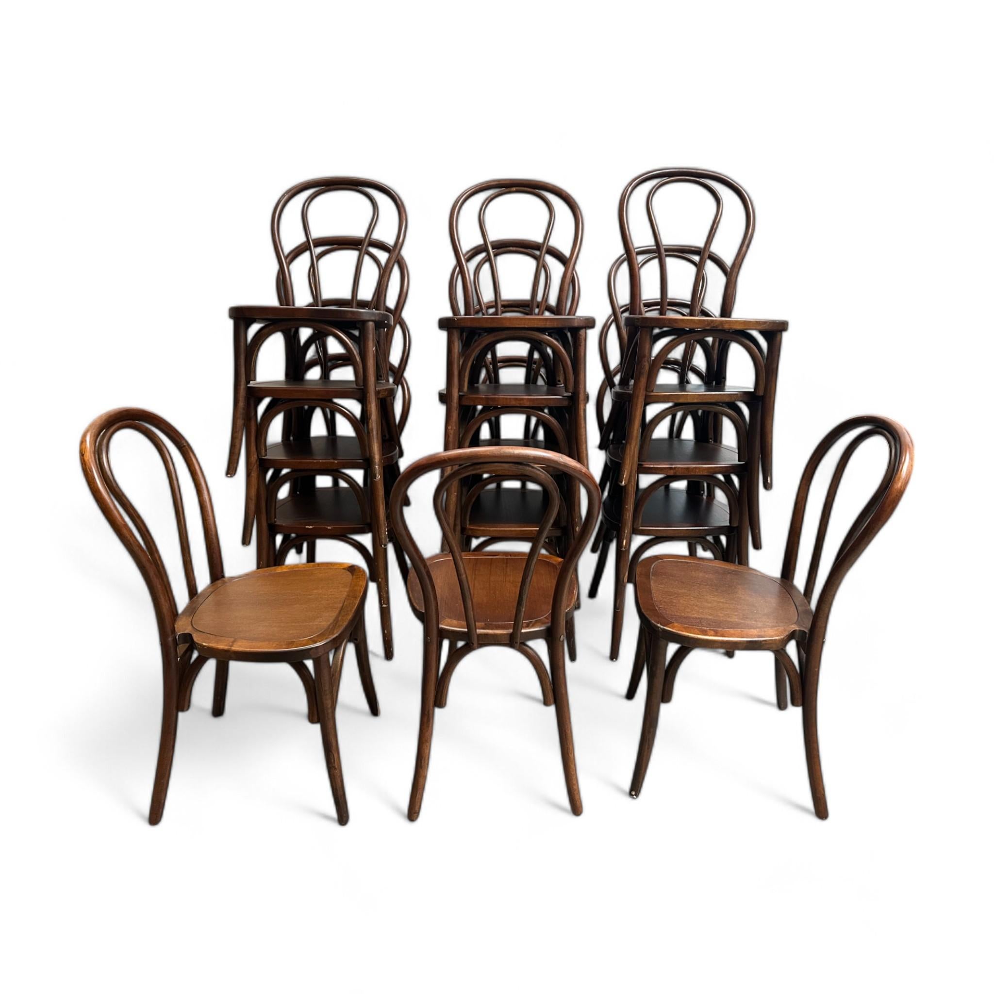 Wood Bentwood Oak Dining Chairs, Large Lot, Great for Restaurants