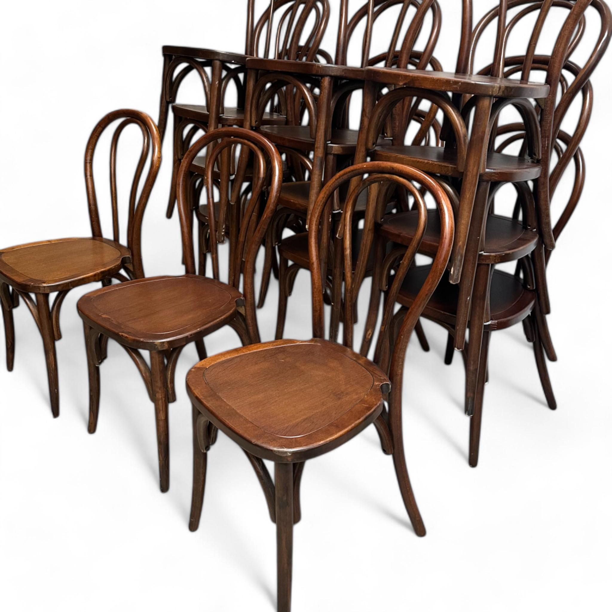 Bentwood Oak Dining Chairs, Large Lot, Great for Restaurants 1
