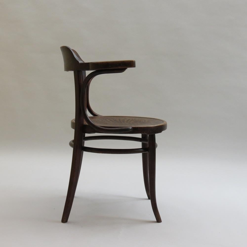 Chaise de bureau en bois cintré numéro 704 J Kohn pour Thonet 1900s Jacob Joseph  en vente 1