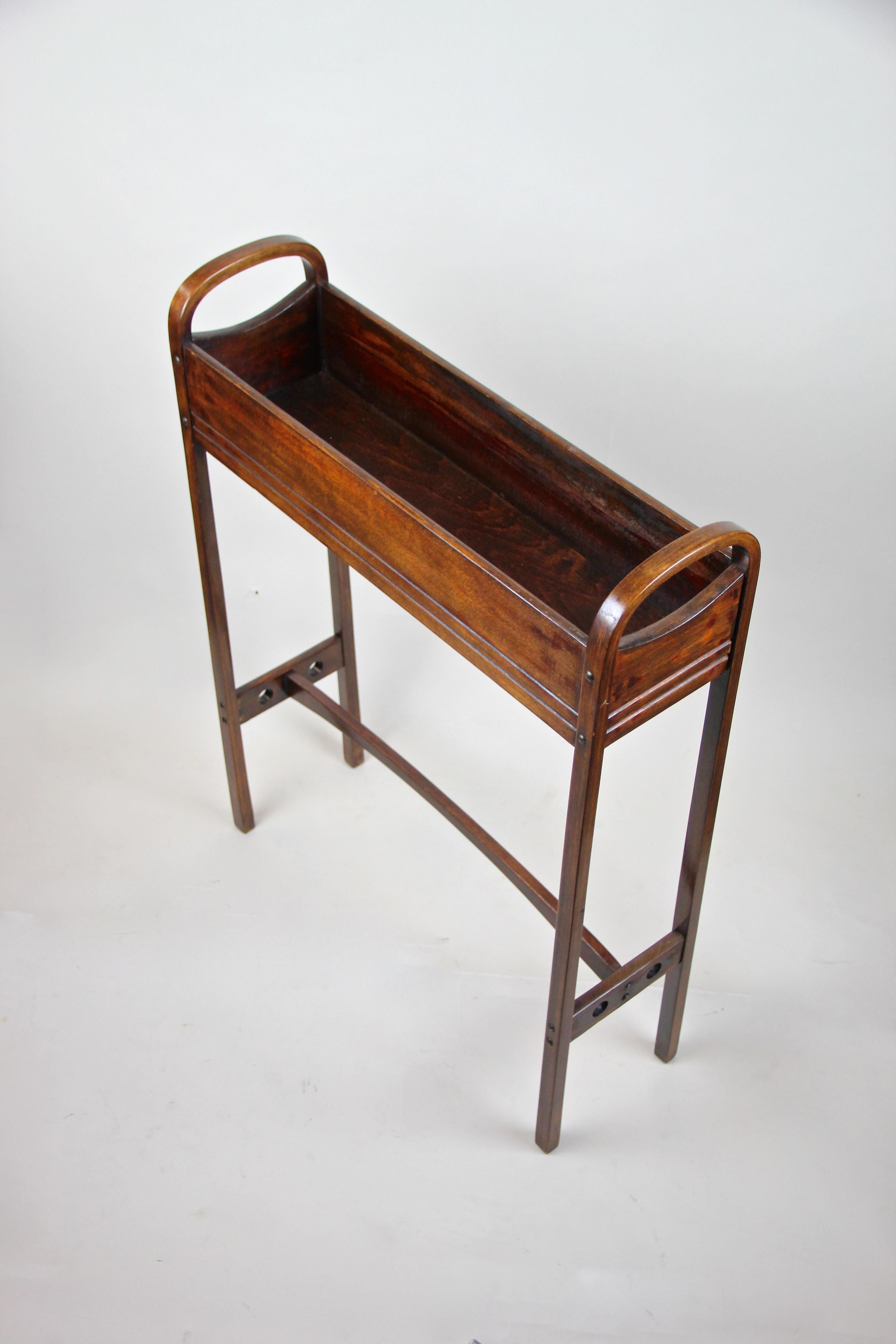 Bentwood Plant Stand or Flower Tub Mod. No. 1 by Thonet, Austria, circa 1915 6