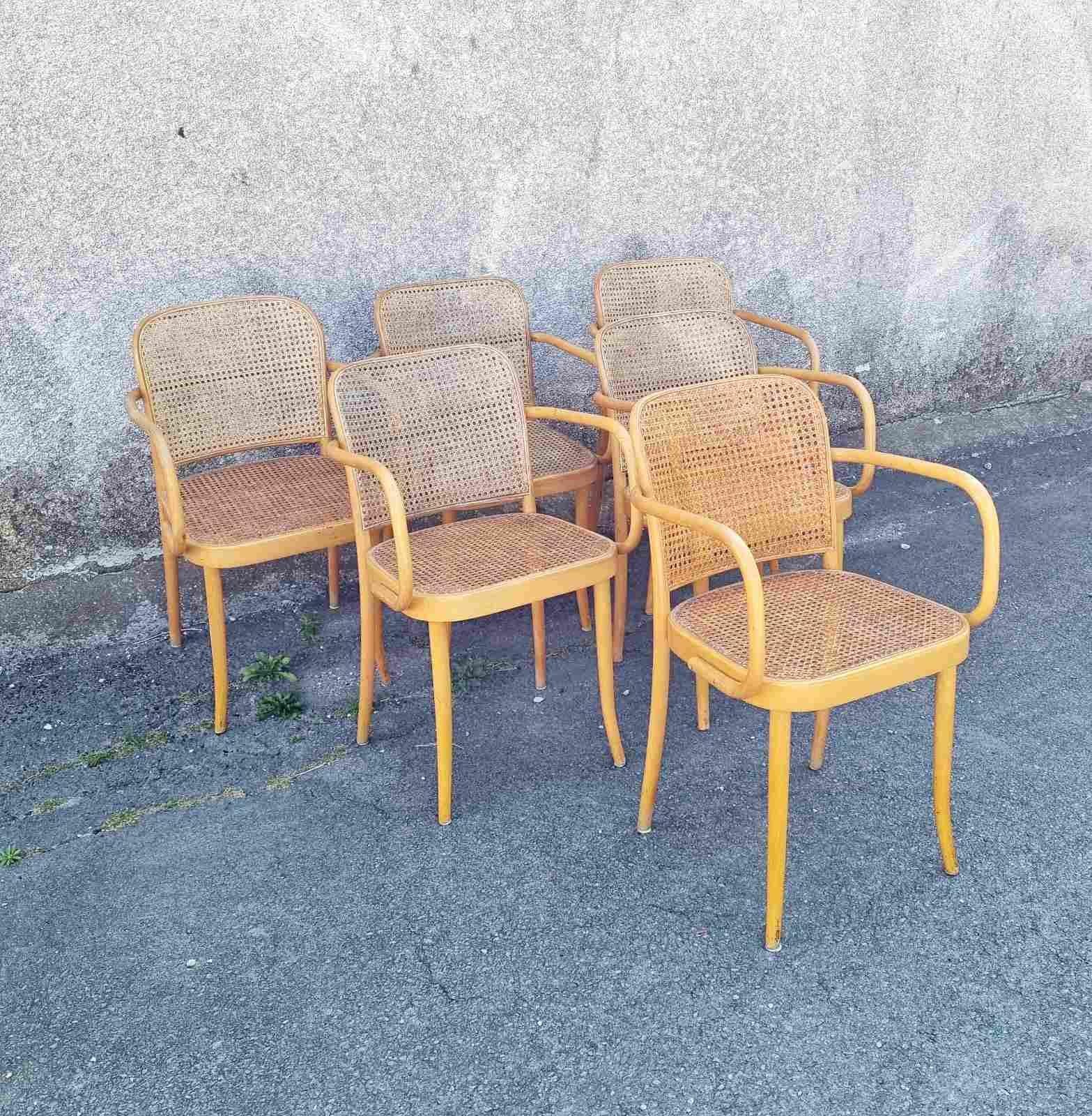 Bentwood Prague Chairs, Model N.811 Designed by Josef Hofmann, Czechoslovaka 70s 4
