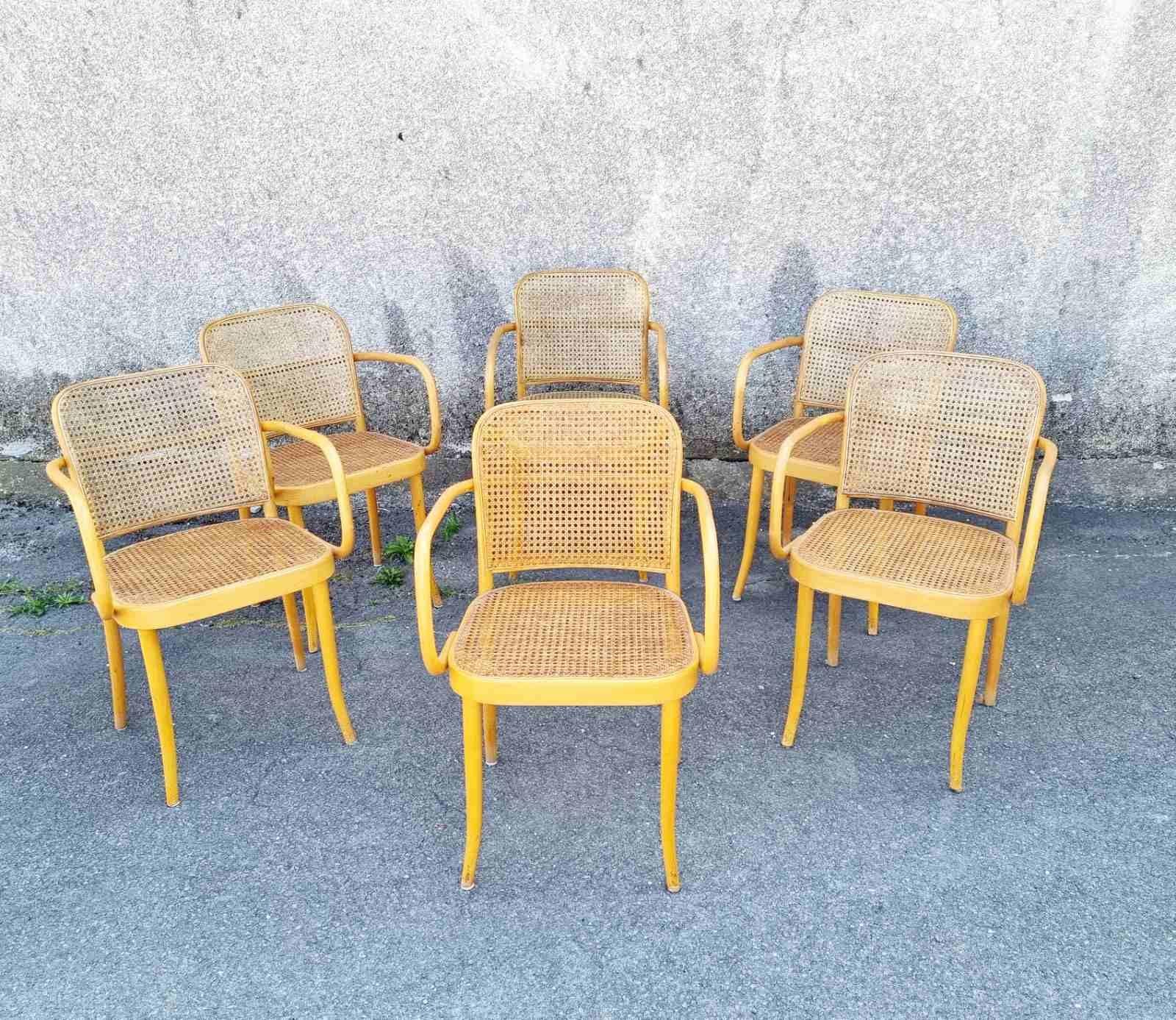 Bentwood Prague Chairs, Model N.811 Designed by Josef Hofmann, Czechoslovaka 70s 5