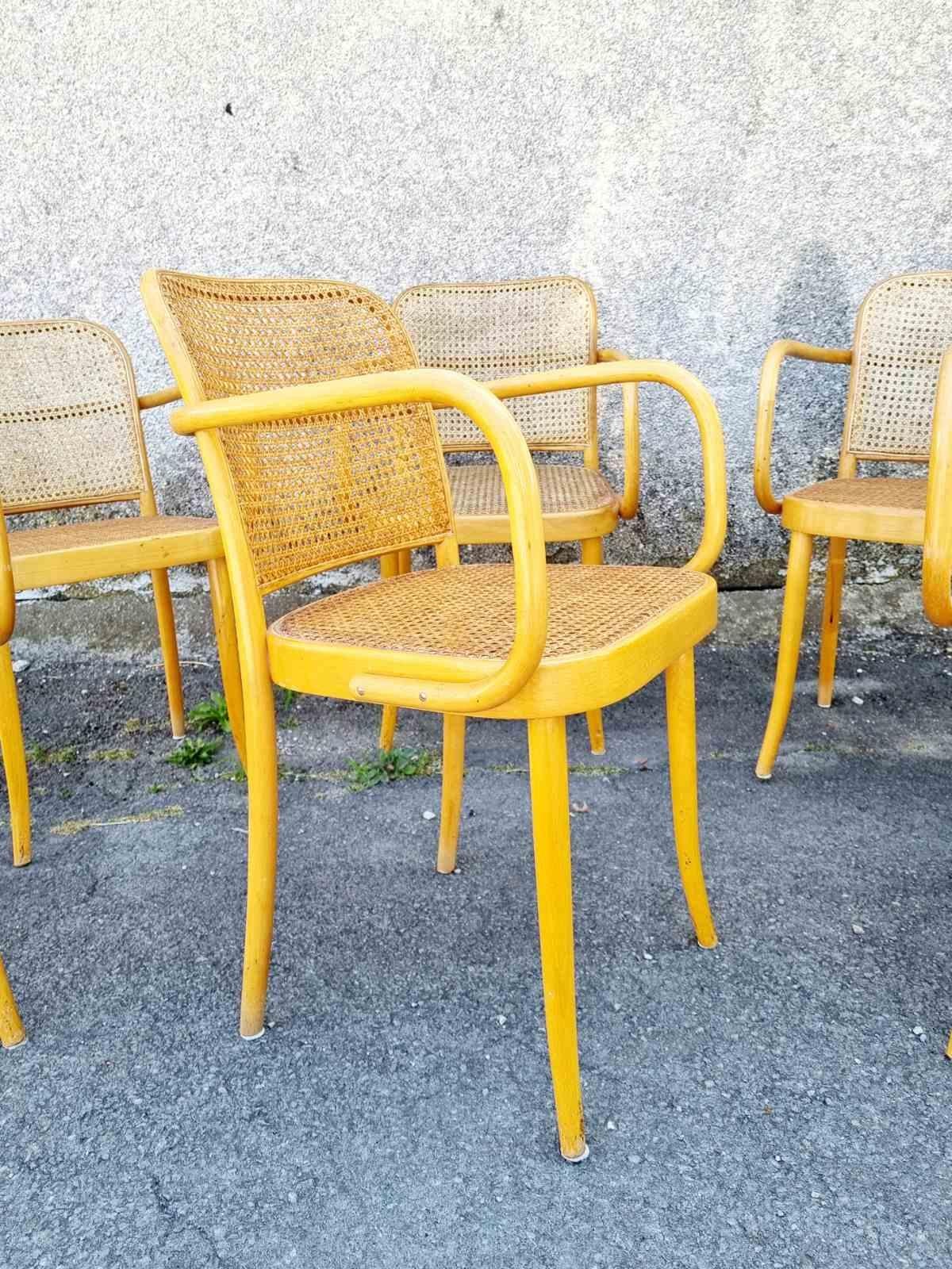 Early 20th Century Bentwood Prague Chairs, Model N.811 Designed by Josef Hofmann, Czechoslovaka 70s