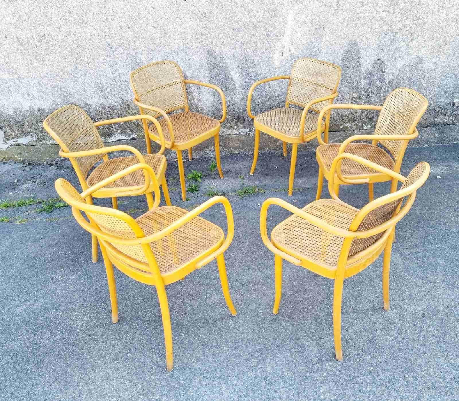 Bentwood Prague Chairs, Model N.811 Designed by Josef Hofmann, Czechoslovaka 70s 3
