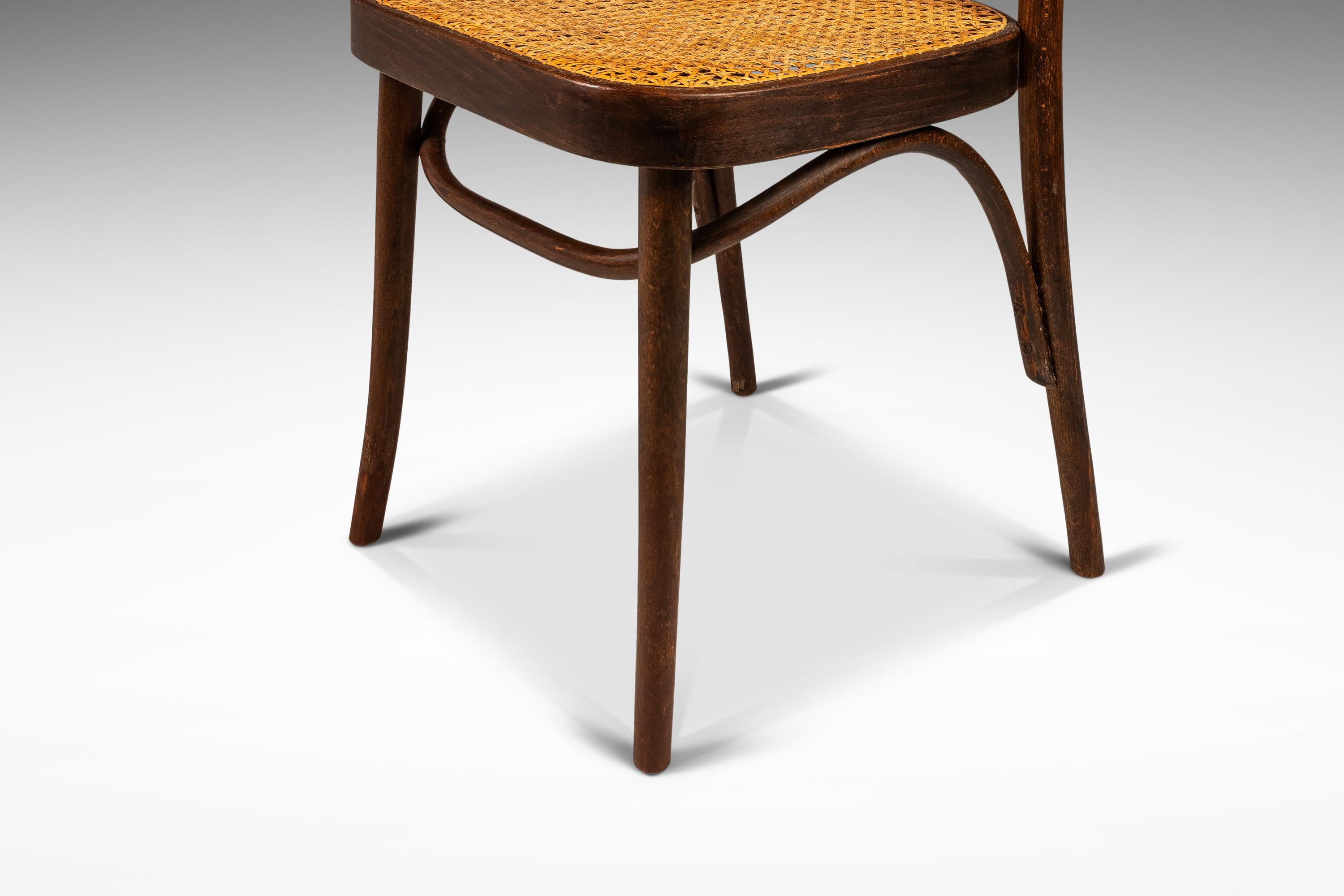 Bentwood Prague Model 811 Chair in Walnut by Josef Frank, Poland, c. 1960s For Sale 12