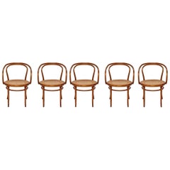 Bentwood Stendig Thonet Chairs