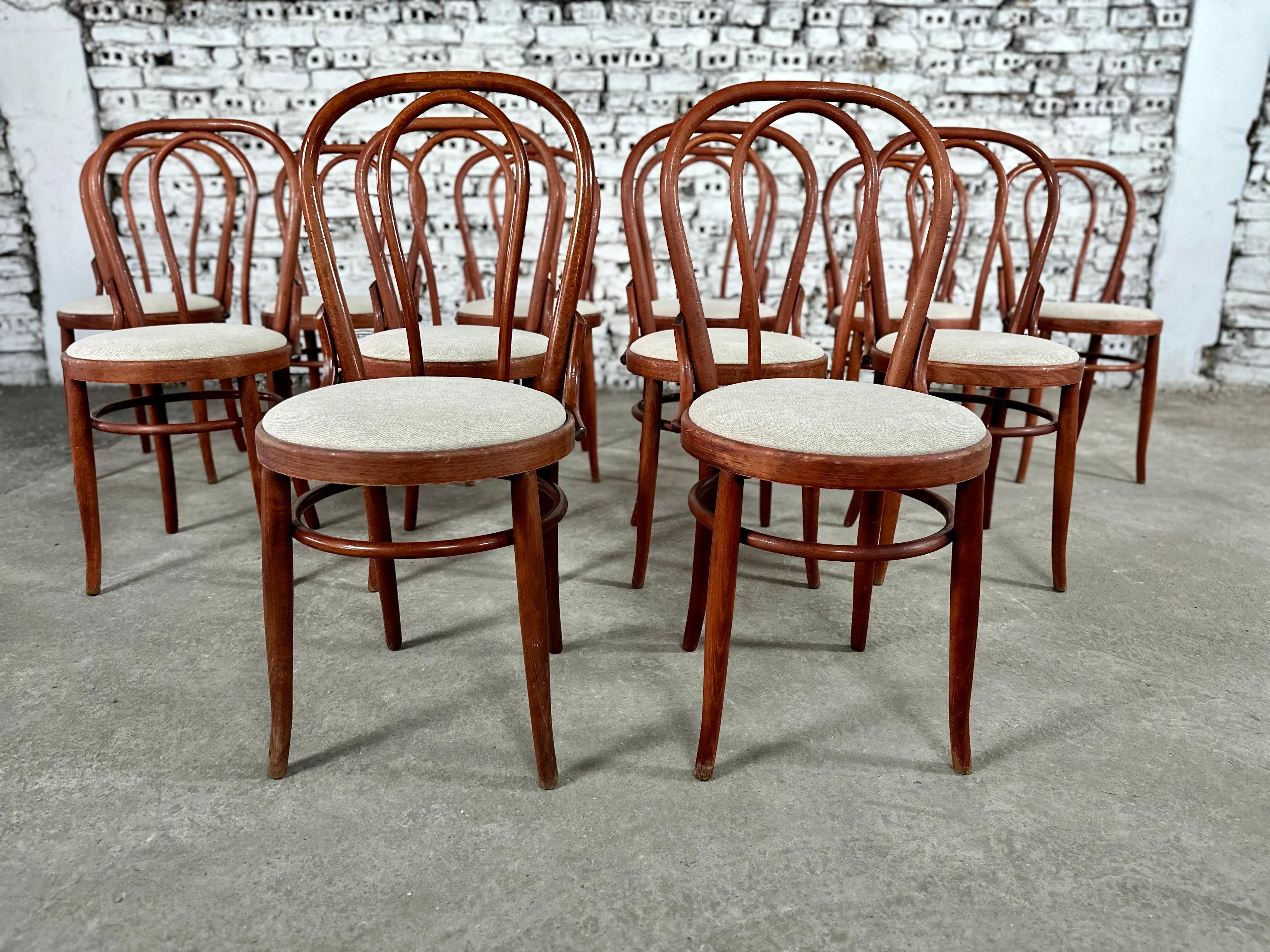 20th Century Bentwood Thonet No.14 Styled Bistro Dining Chairs Reupholstered - Set of 12