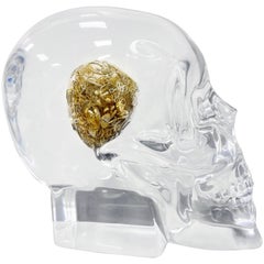 Berd Vay'e Limitierte Auflage „Lost in Time“ Lucite-Skulptur, Cerveau 'Groß'