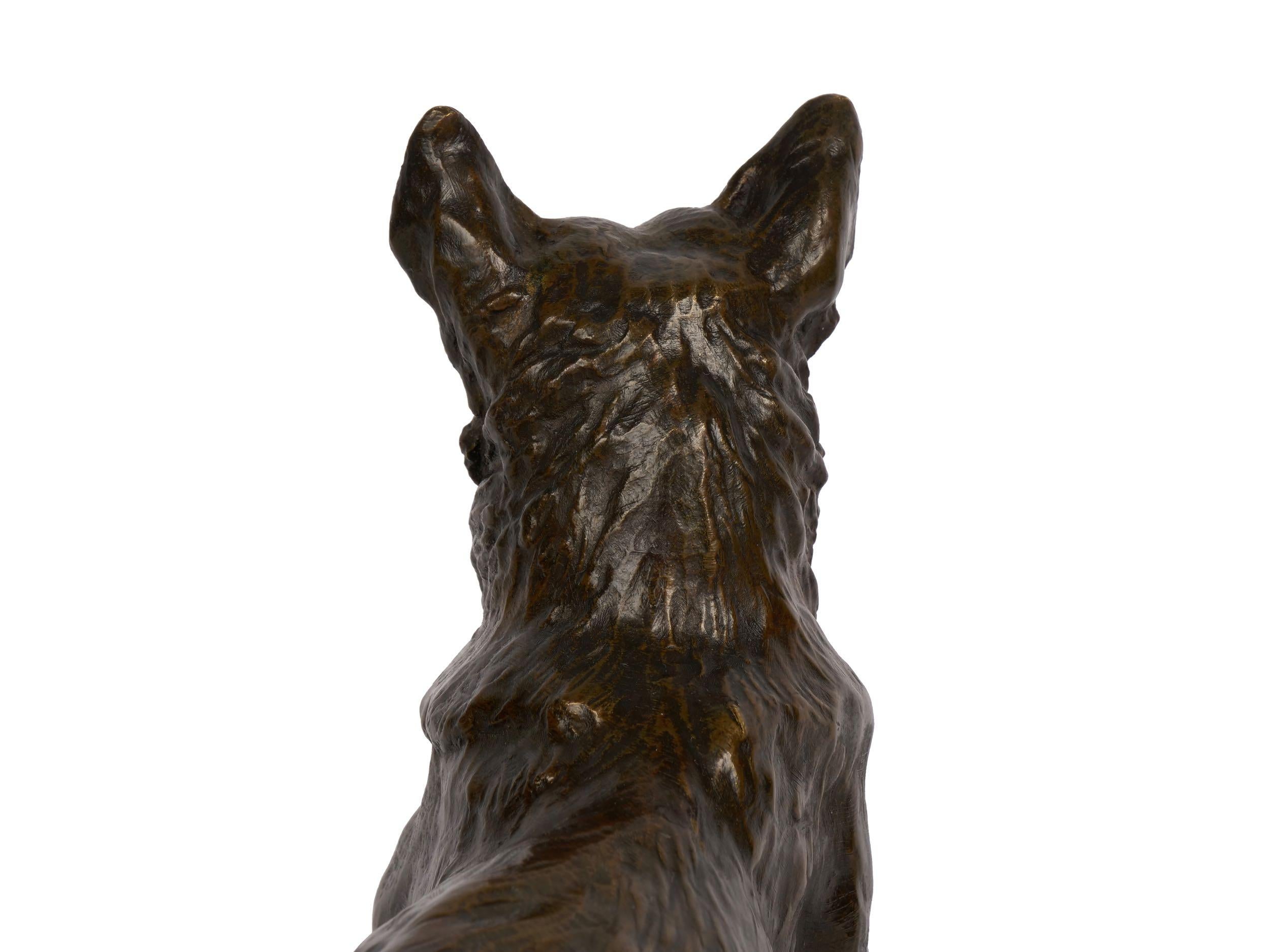 “Berger Allemand Couché” 'German Shepherd' Bronze Sculpture by Albert Laplanche 4