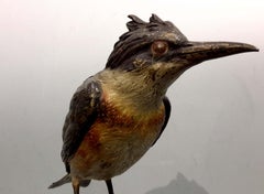 Oiseau King Fisher Bergman peint à froid en bronze de Vienne