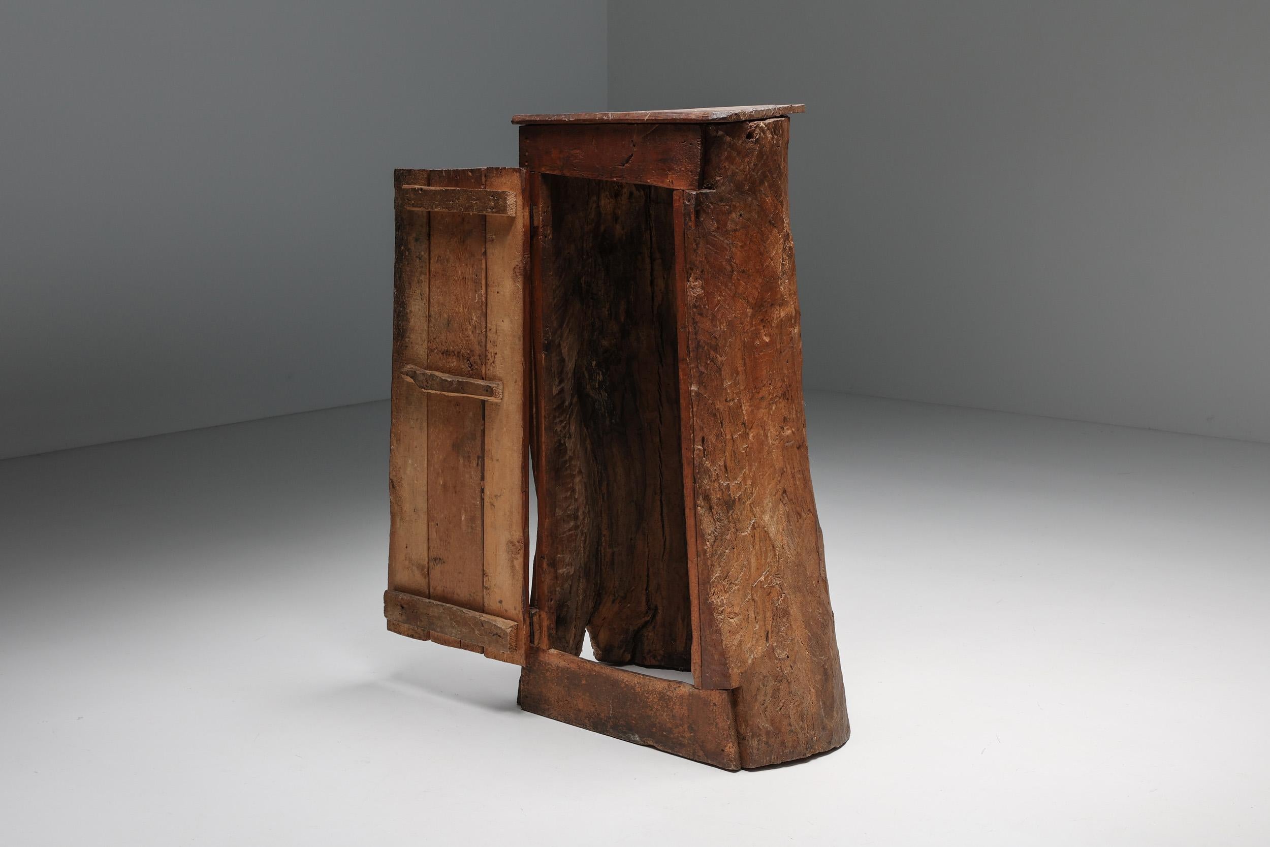 Wood Art Populaire Wabi-Sabi Rural Monoxylite Cabinet, France, 19th Century