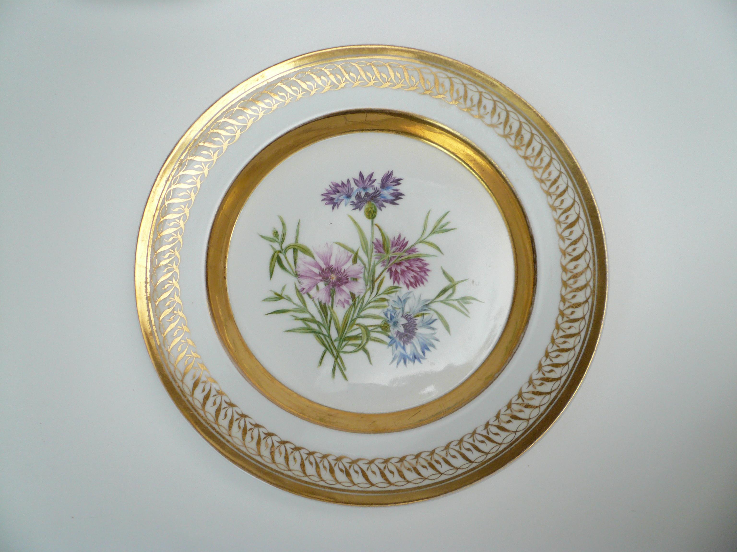 This beautifully hand painted Berlin porcelain plate features Centaurea Cyanus (cornflower) decoration, and a fine gilded border.