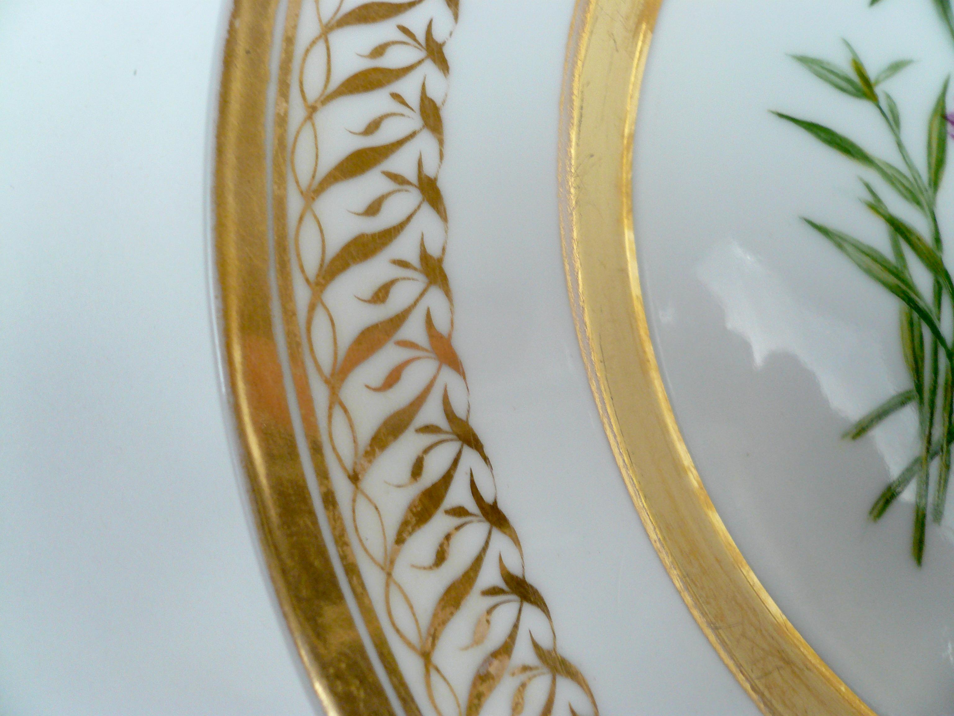 Neoclassical Berlin Porcelain Botanically Decorated Plate