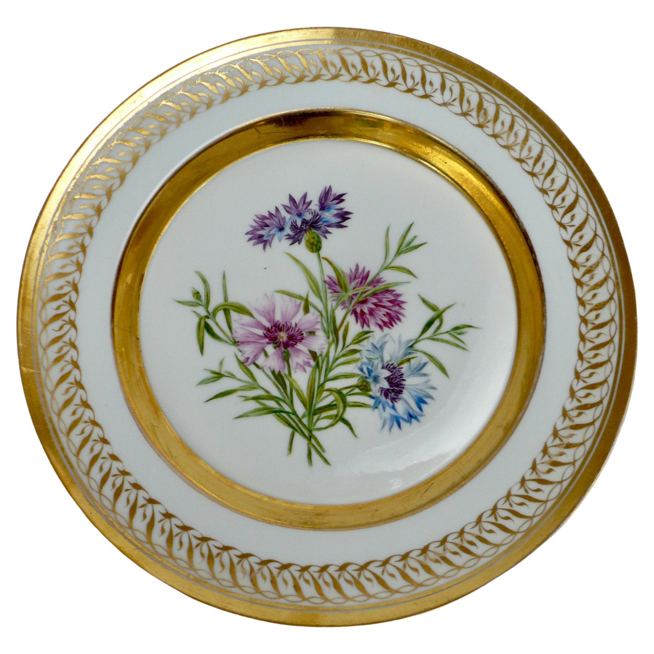 Berlin Porcelain Botanically Decorated Plate