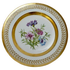 Berlin Porcelain Botanically Decorated Plate