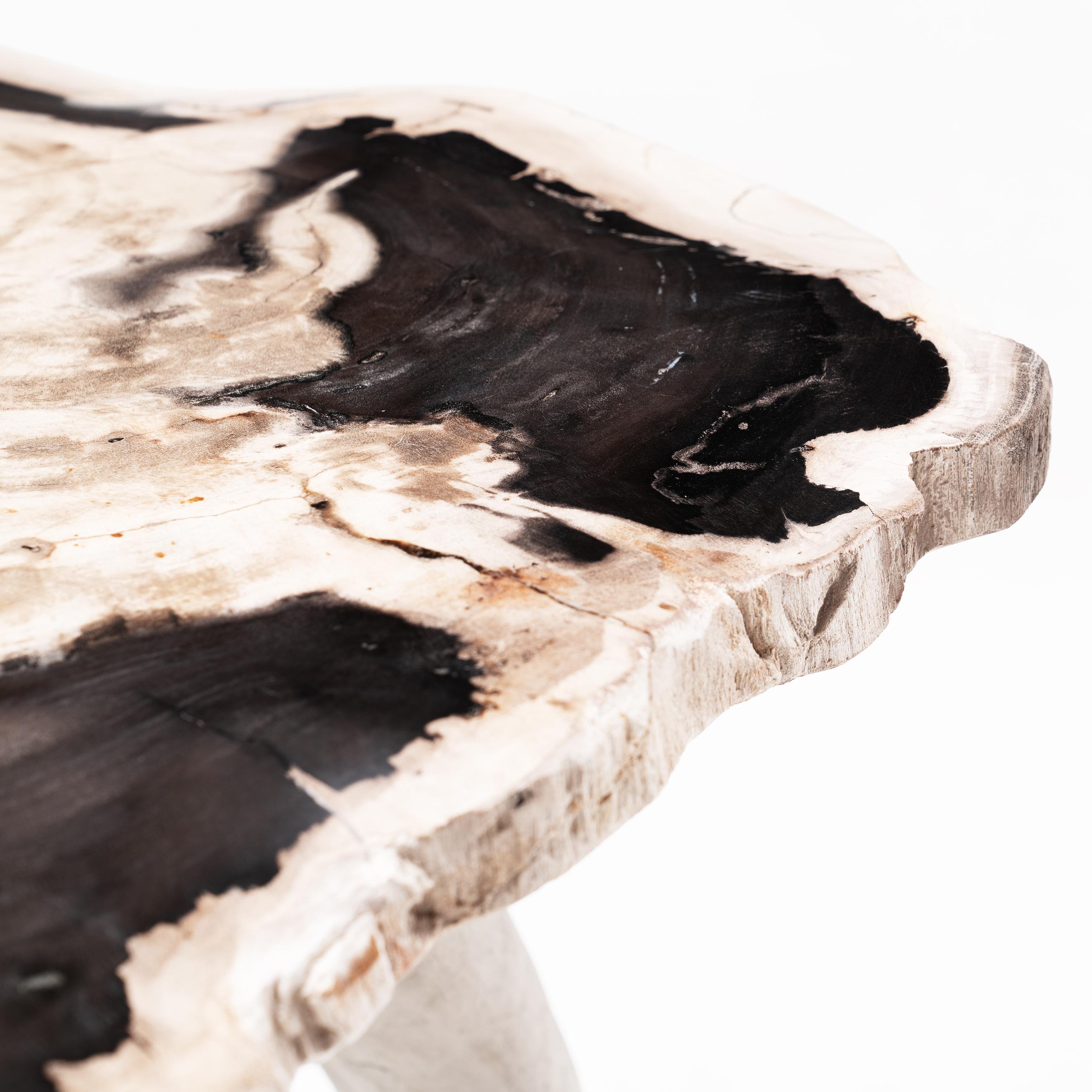 Bermuda Love Triangle • Hand-Carved Solid Petrified Wood Side Table by Odditi In New Condition For Sale In CAROOL, NSW, AU