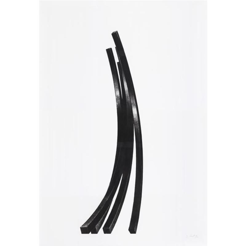 Arcs: Uneven Angles - Contemporary, 21st Century, Etching, Black, White, Edition - Gray Figurative Print by Bernar Venet