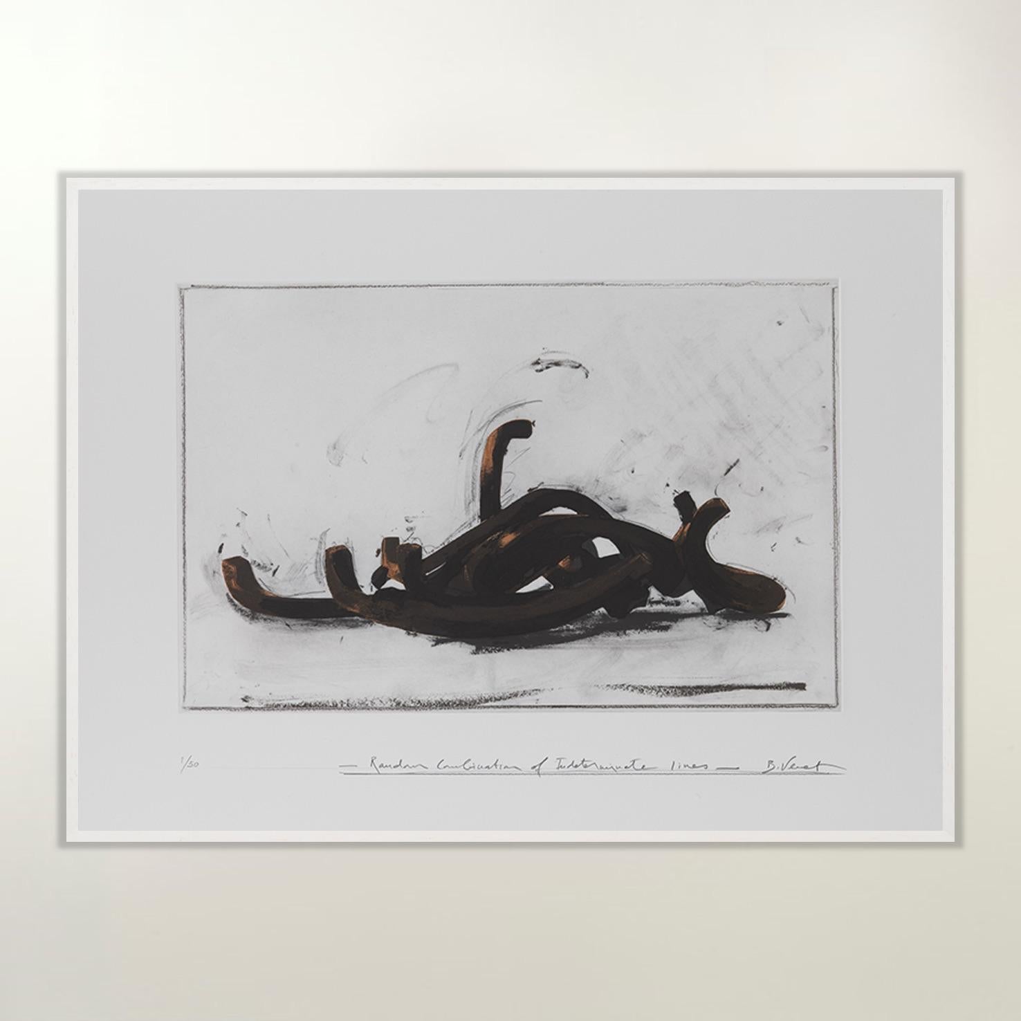 Random Combination of Indeterminate Lines - Contemporary, 21st Century, Etching - Gray Figurative Print by Bernar Venet