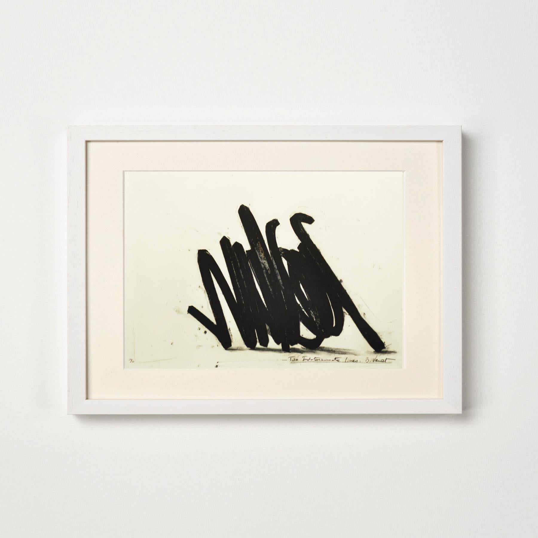 Two Indeterminate Lines - Contemporary, 21st Century, Etching, Black, Edition - Print by Bernar Venet