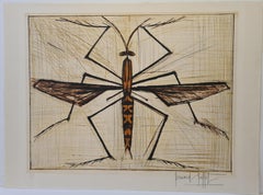 Brown bug