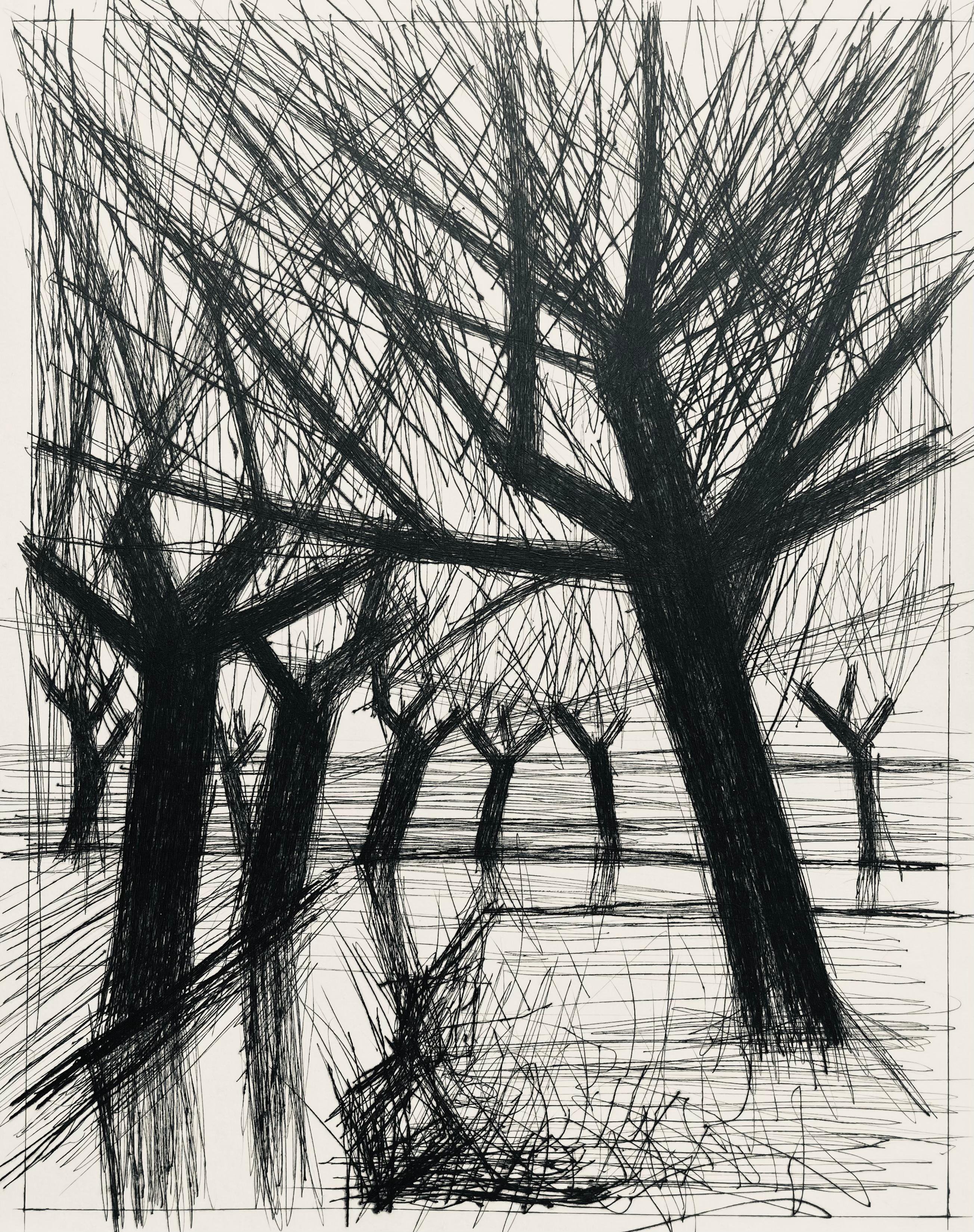 Drypoint etching on papier de Rives B.F.K. pur fil paper. Unsigned and unnumbered, as issued. Good condition. Notes: From the folio, Voyages fantastiques aux États et empires de la lune et du soleil, 1958. Published by Joseph Foret, Éditeur d'Art,