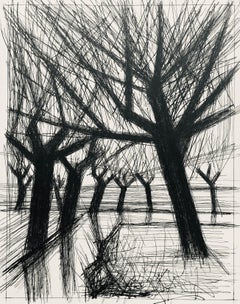 Composition (Reinz 208-222), Voyages Fantastiques, Bernard Buffet