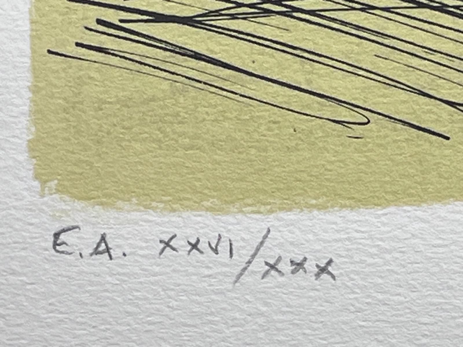 Lithograph, 1986
Edition : EA XXVI/XXX
Printer : Sorlier (Paris)
Catalog : [Sorlier II, jacquette de couverture]
54.00 cm. x 76.00 cm.  21.26 in. x 29.92 in. (paper)
35.00 cm. x 54.00 cm.  13.78 in. x 21.26 in. (image)
61.50 cm. x 79.00 cm.  24.21