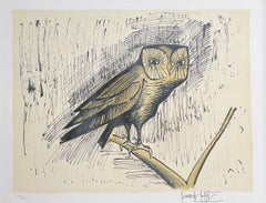 The Tawny Owl - Lithograph 60/150 by Bernard Buffet - 58x76.5 cm