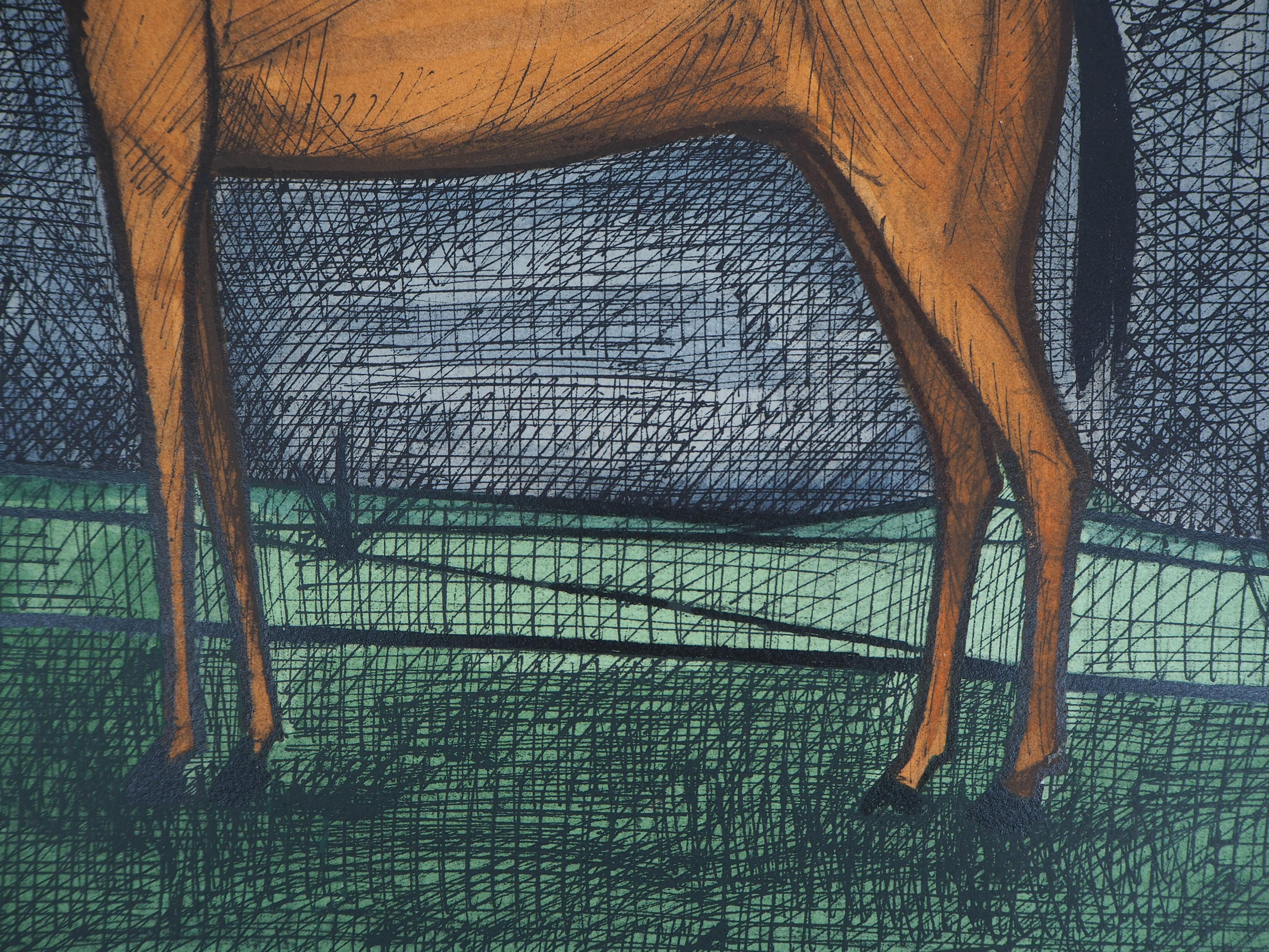 Bernard Buffet
Il cavallo purosangue, 1960

Litografia
Firma stampata nella lastra
Su pergamena Arches 56 x 69 cm (circa 22 x 28 pollici)

Condizioni eccellenti