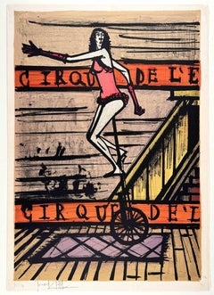The unicycle