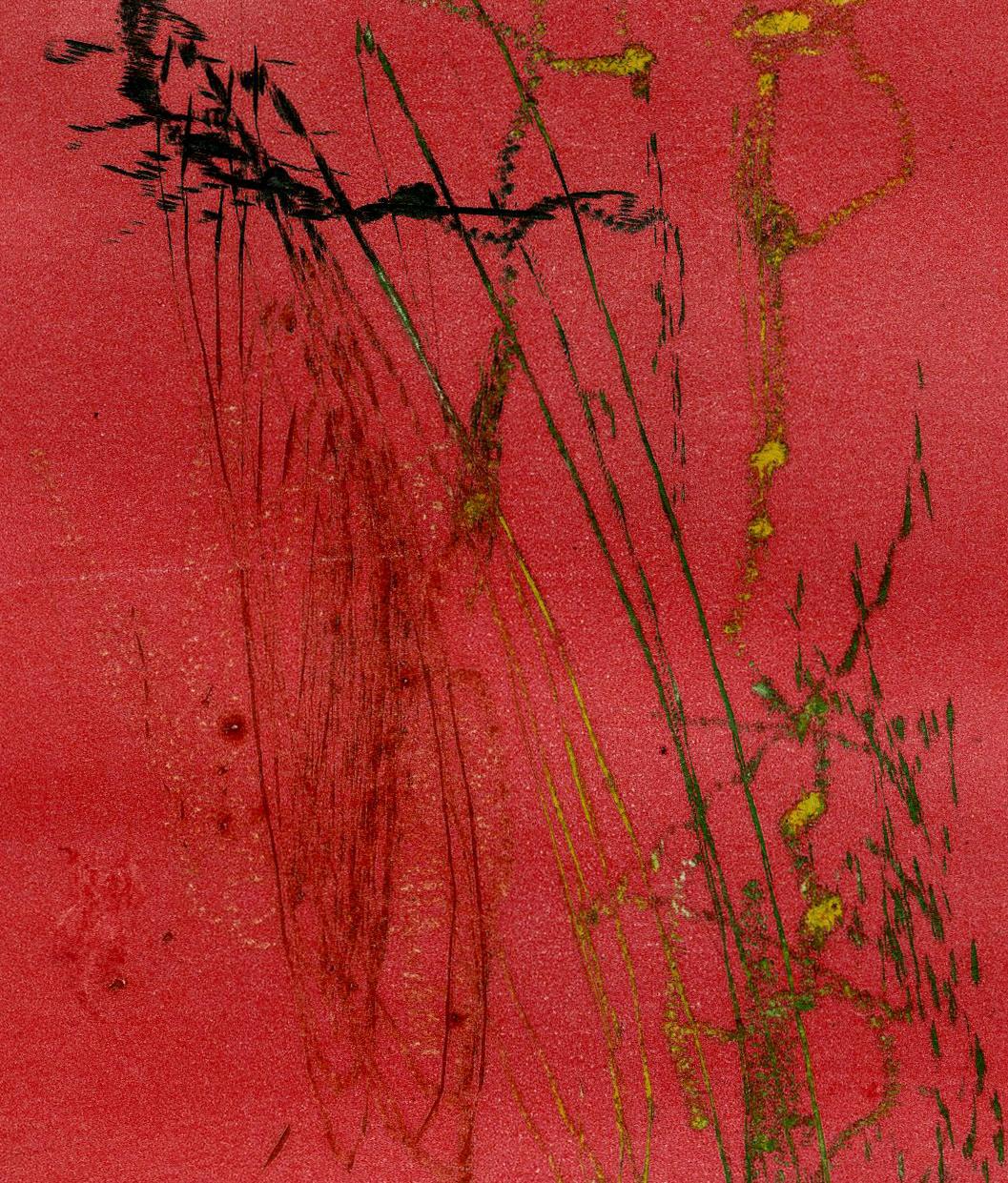 Omar’s Cup - Red Abstract Print by Bernard Childs