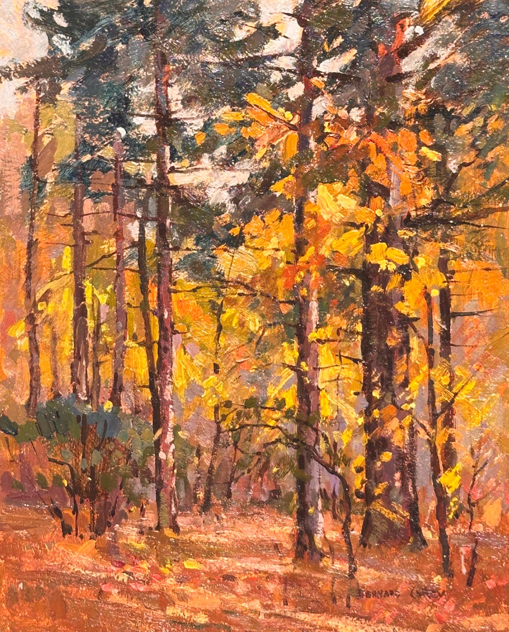 Questo dipinto a olio di Bernard Corey, impressionista americano, cattura la bellezza dorata di una foresta in autunno. Con una luce calda e soffusa che filtra attraverso alti pini e fogliame vivace. Corey, noto per la sua devozione alla tradizione