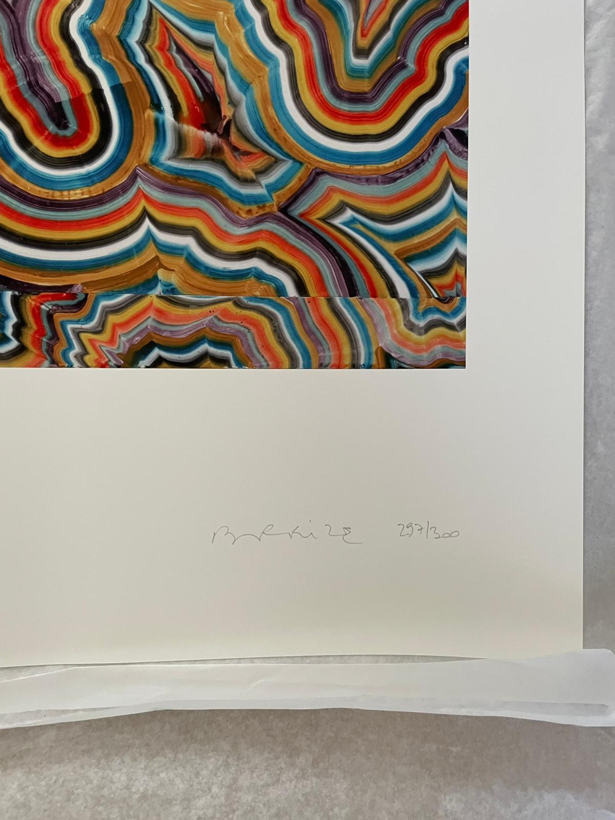 Extension 2, 2013, Impression numérique sur papier d'art 100 % coton. e édition de 300 exemplaires - Marron Abstract Print par Bernard Frize