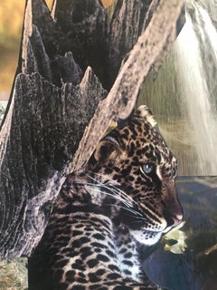 20th Paris School Collage Cutout Artwork Wonderful Interior Design Options