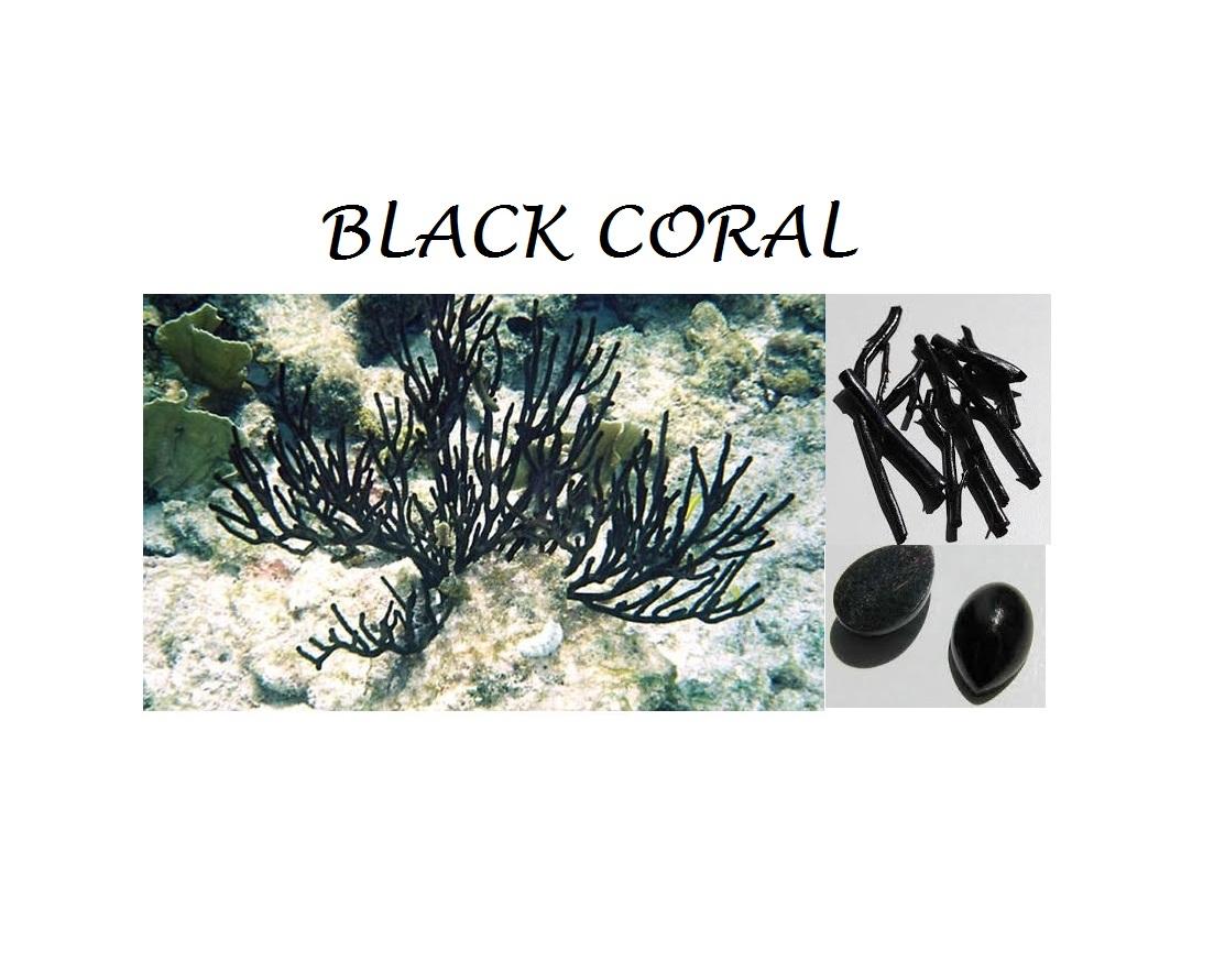 Bernard K. Passman Black Coral and Diamonds Gold Earrings 1