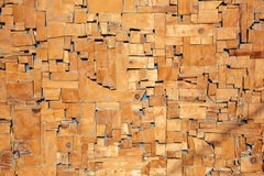 Bernard Langlais Collage de madera sobre lienzo pintado "Plano con azul"