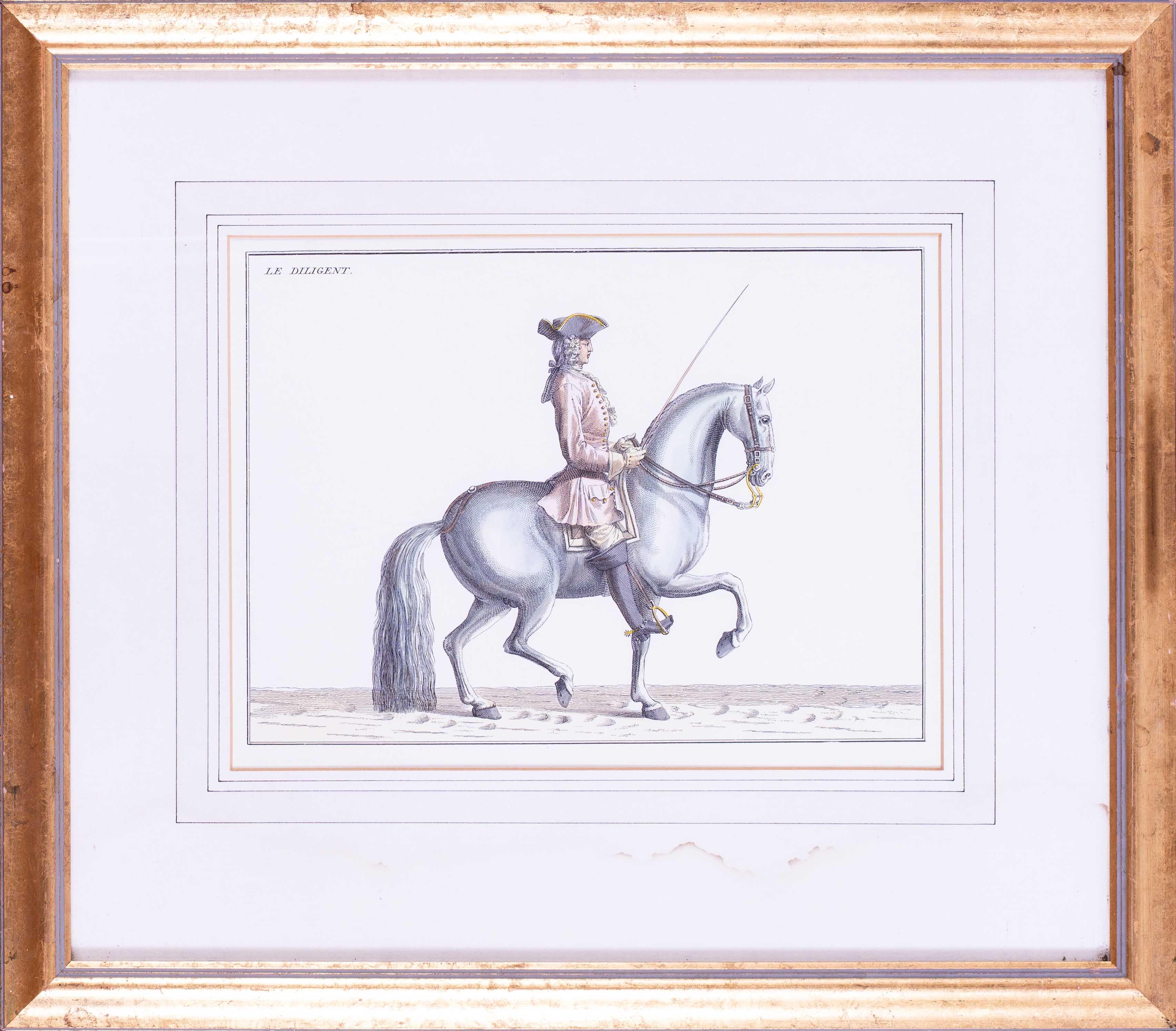 Set of 8, 20th Century prints of horses and French riders after Bernard Picart - Print by Bernard Picart 