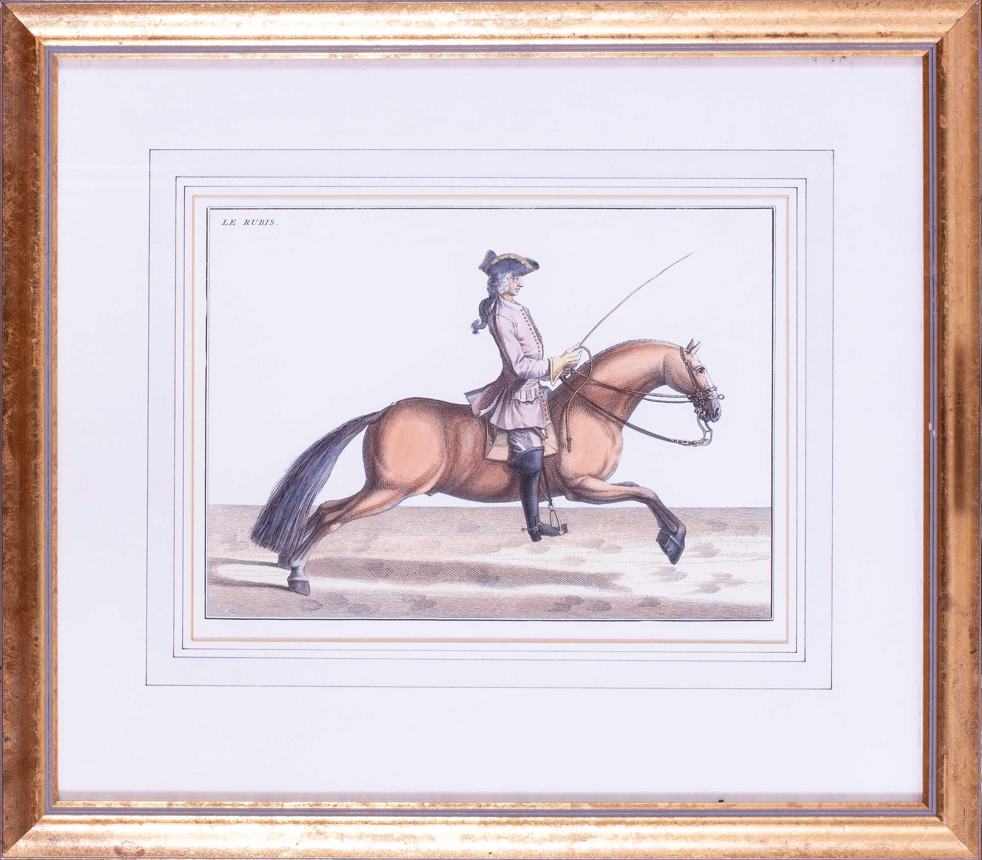 Bernard Picart  Animal Print - Set of 8, 20th Century prints of horses and French riders after Bernard Picart