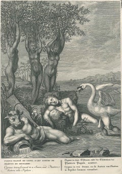 Cygnus, from "Temple des Muses" - Original Etching by Bernard Picart - 1742