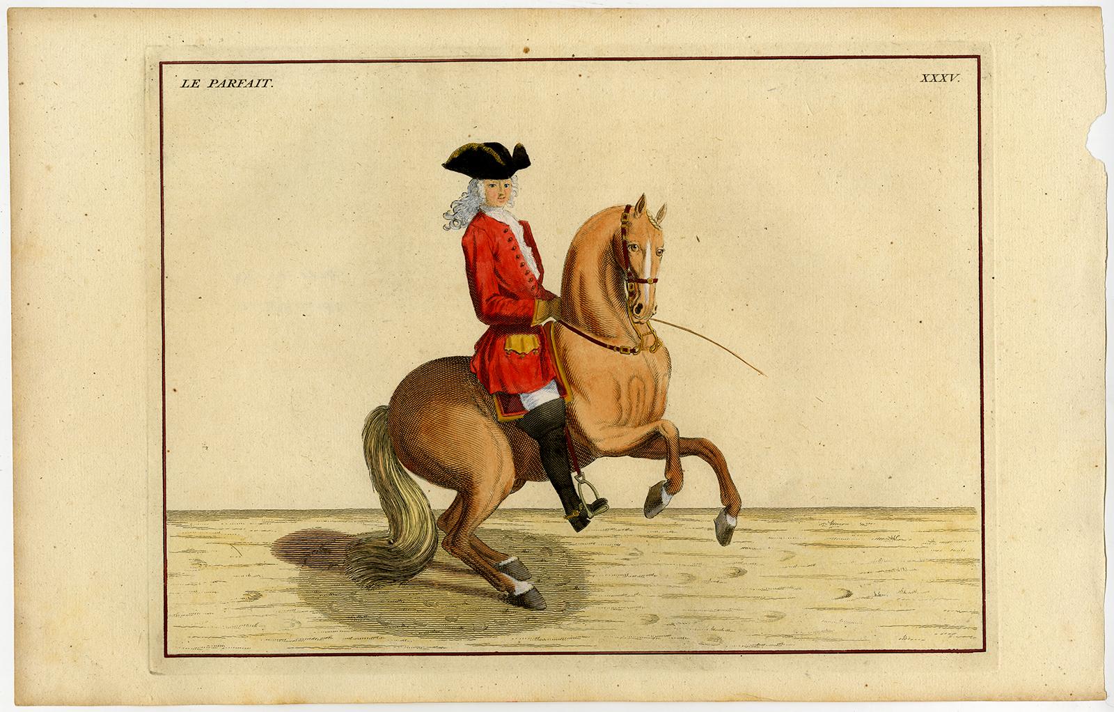 Set of 21 dressage prints by Eisenberg - Engraving - 18th centry - Print by Bernard Picart