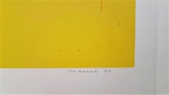 Untitled Gestural Abstraction