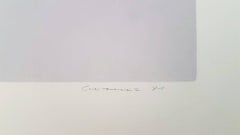 Untitled Gestural Abstraction