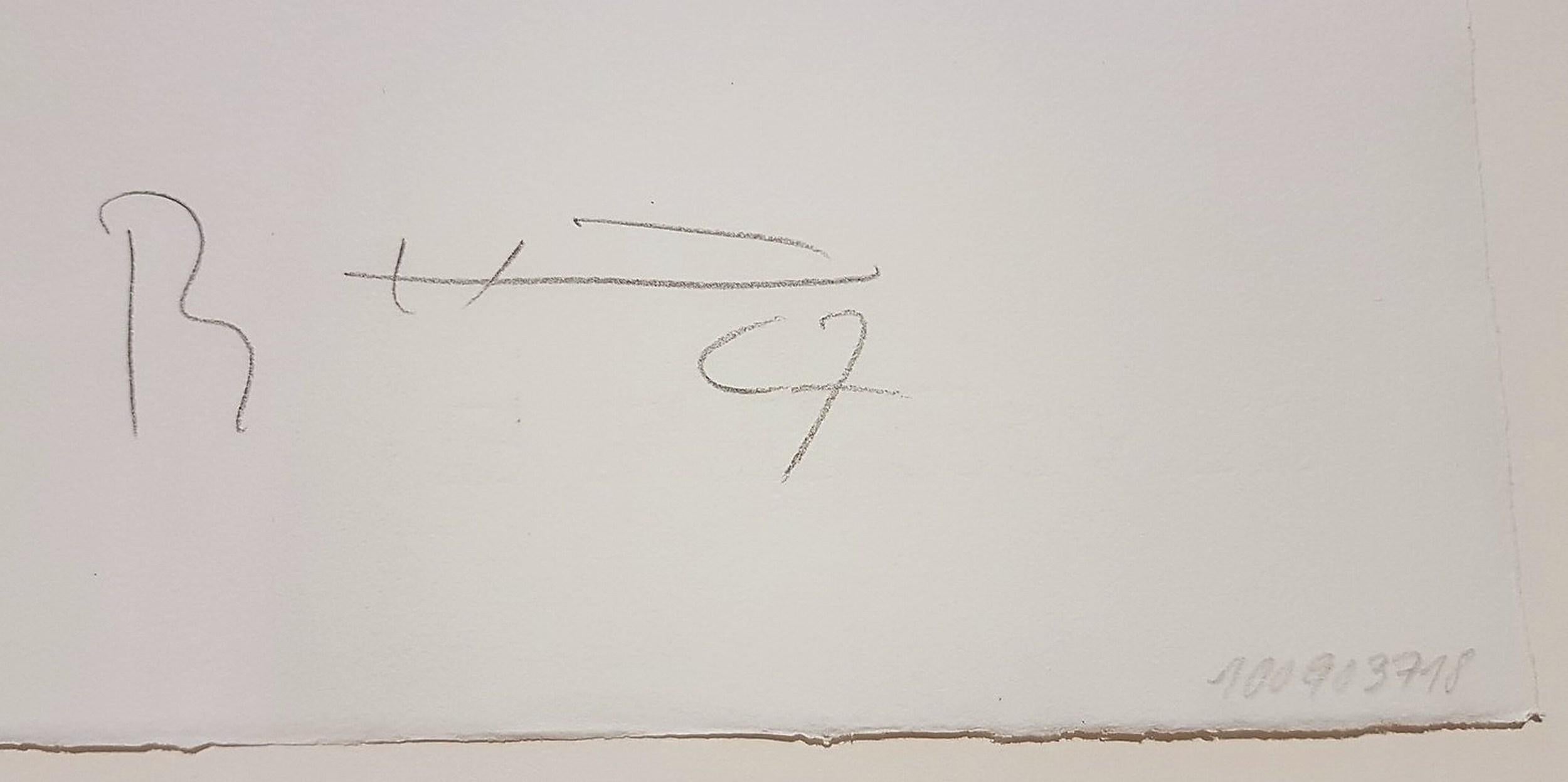 Bernhard Heiliger
Abstraction gestuelle sans titre
Lithographie sur BK Rives
Année : 1967
Signé et numéroté 