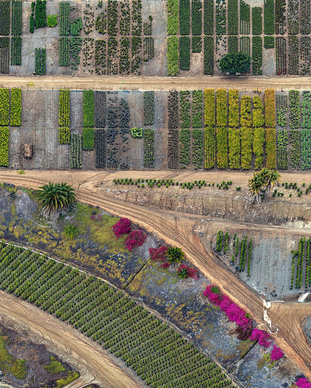 Aerial Views, California Plants 016 by Bernhard Lang - Aerial photography