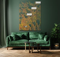 Bavarian Forest 002 by Bernhard Lang - Aerial abstract photography, autumn