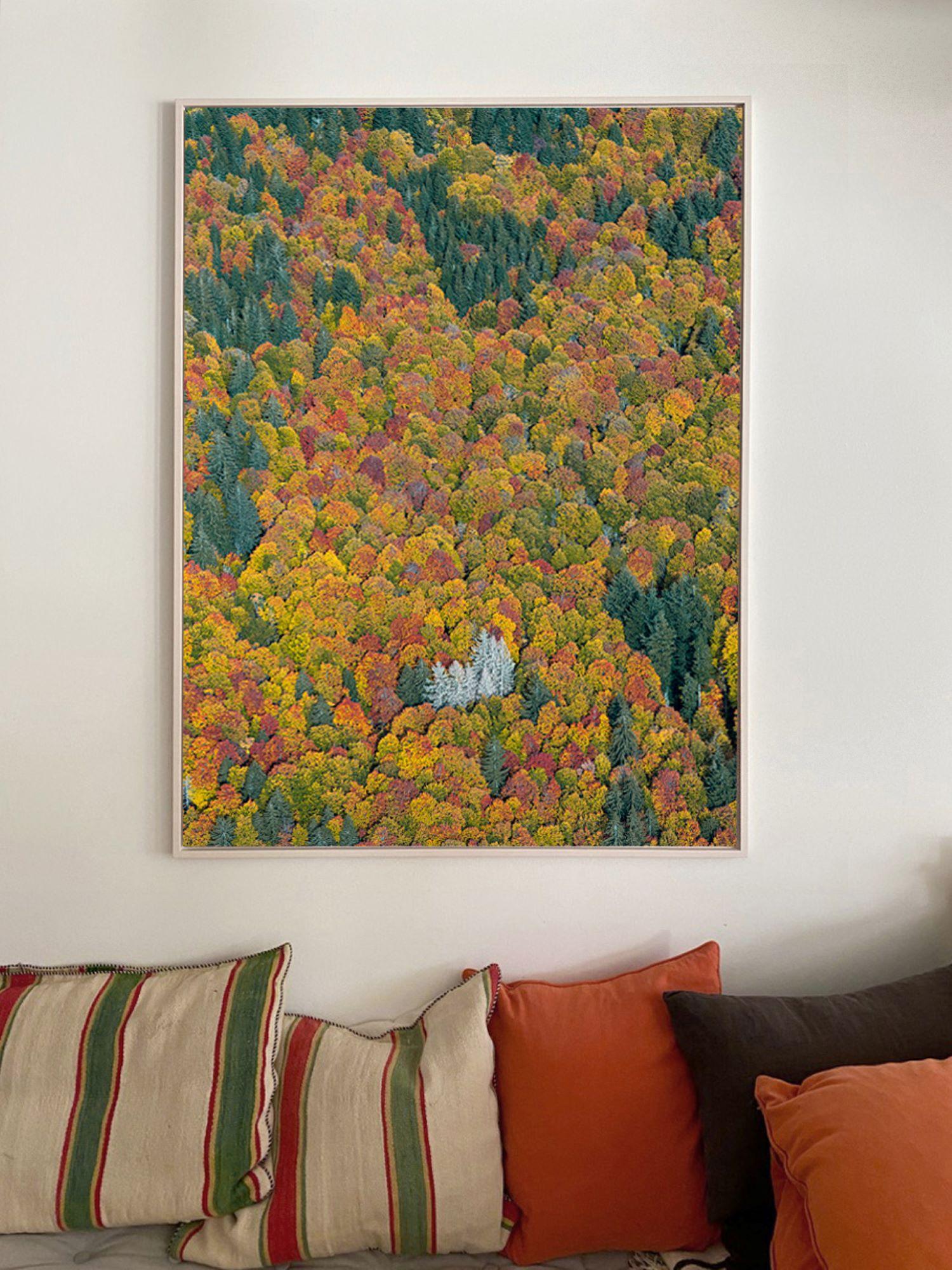 Bavarian Forest 002 von Bernhard Lang – Luftaufnahme abstrakter Luftaufnahme, Herbst im Angebot 3