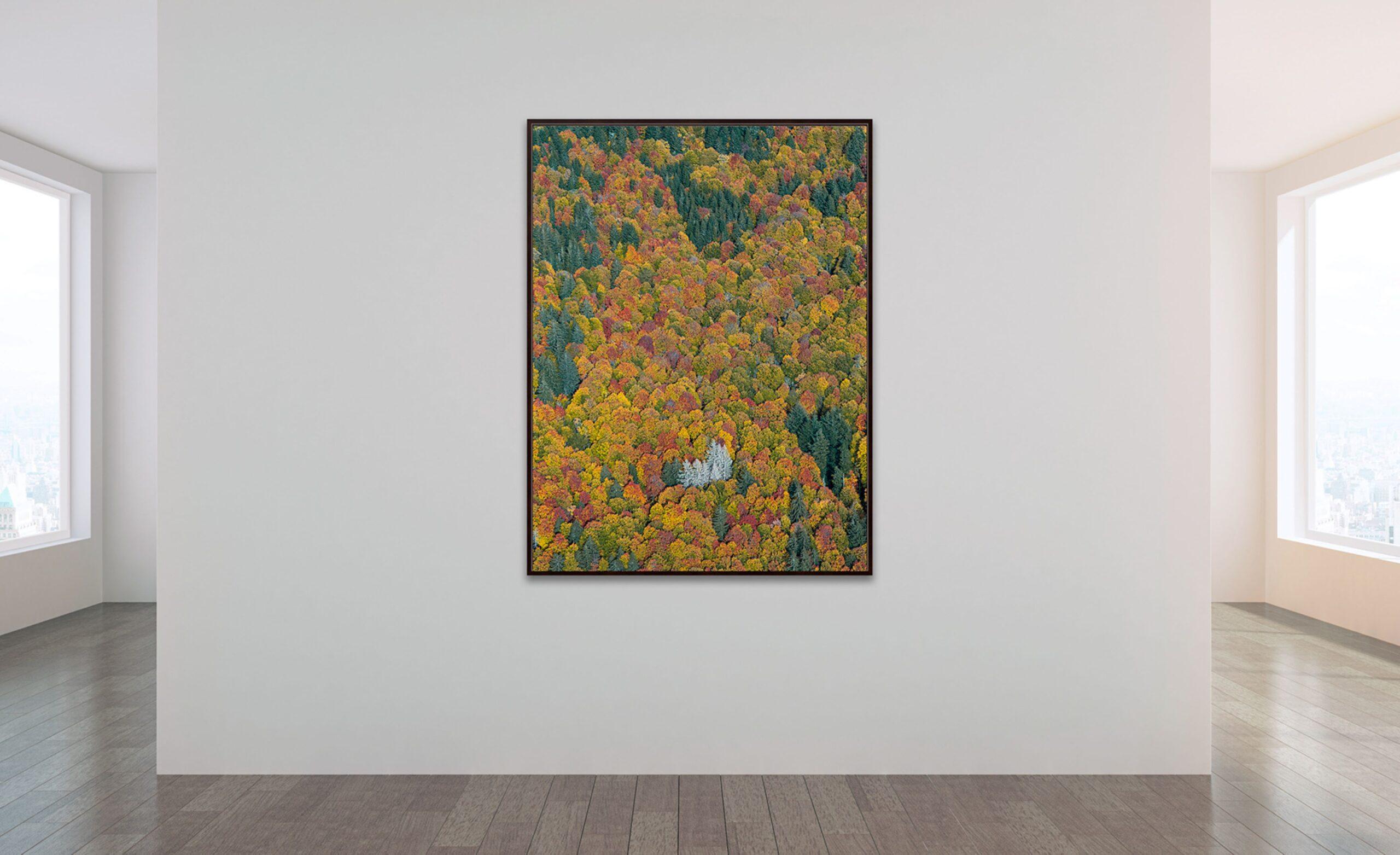 Bavarian Forest 002 von Bernhard Lang – Luftaufnahme abstrakter Luftaufnahme, Herbst im Angebot 4