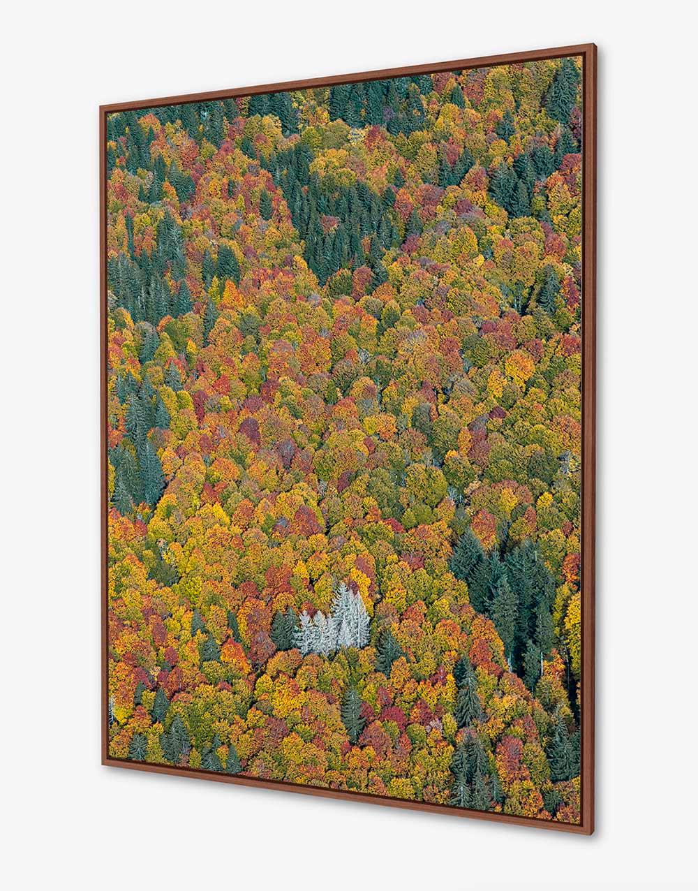 Bavarian Forest 002 von Bernhard Lang – Luftaufnahmen im Angebot 2